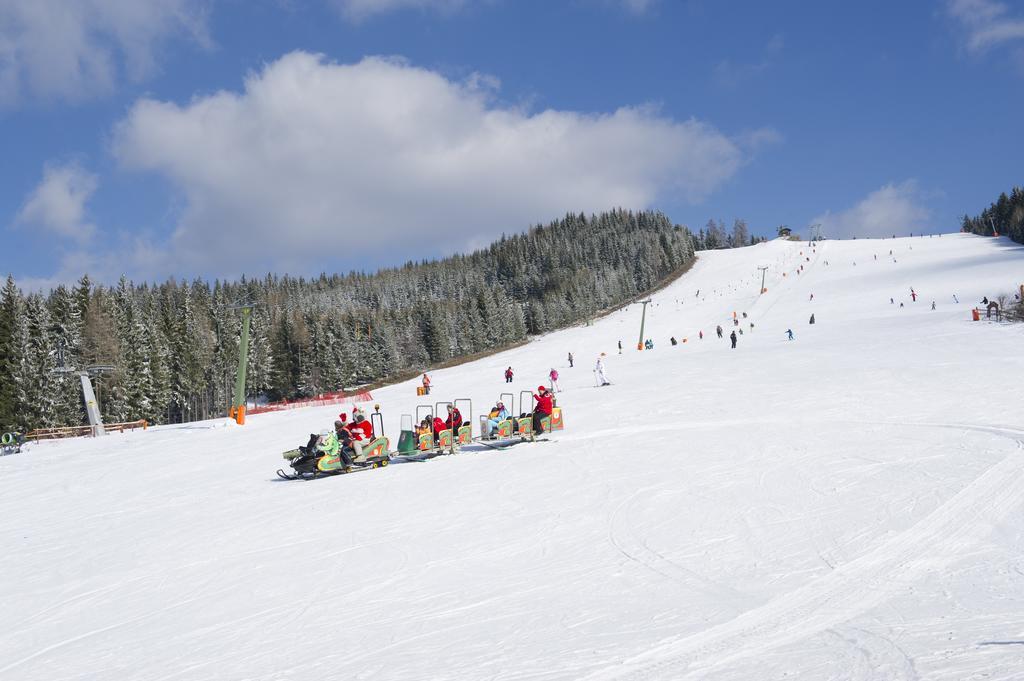 Alpe-Adria Apartments Oberaichwald  エクステリア 写真